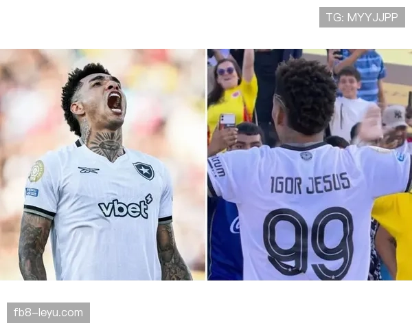 南美足球崛起：国际声誉提升吸引顶级联赛争相引援