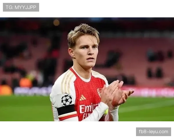 挪威队厄德高中场大脑 挪威队厄德高中场大脑